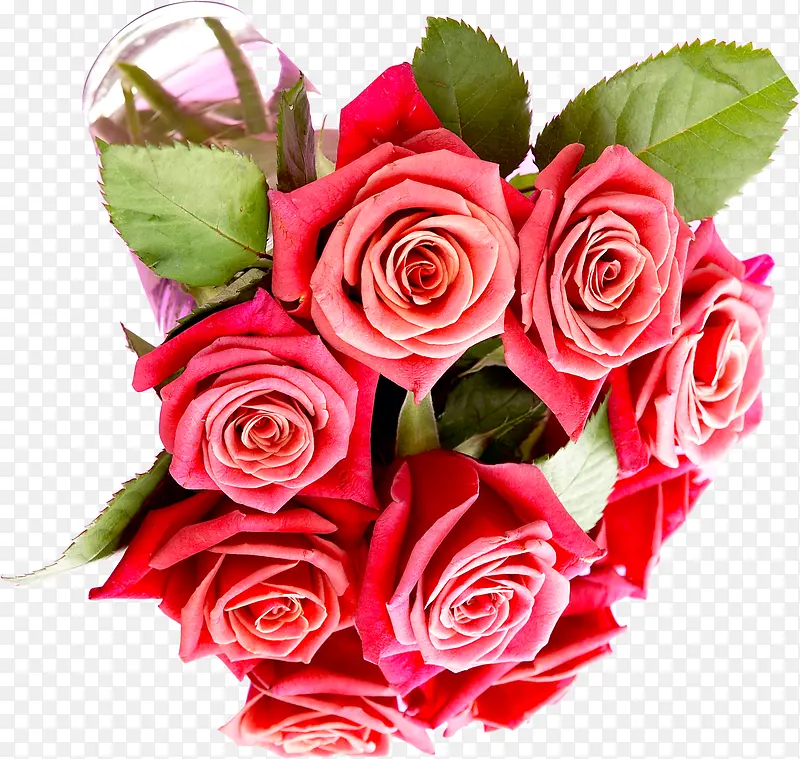 高清粉色玫瑰花束装饰