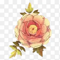 手绘粉色玫瑰花朵装饰