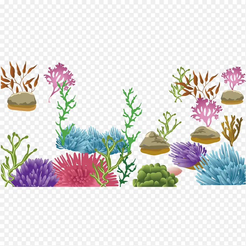 各式各样的珊瑚