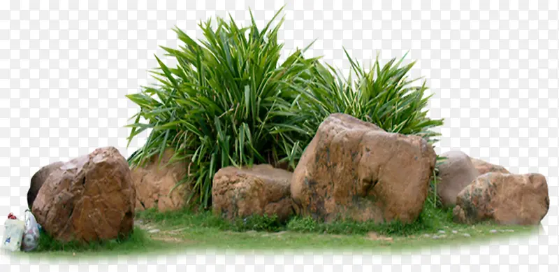 绿色植物石头景观装饰
