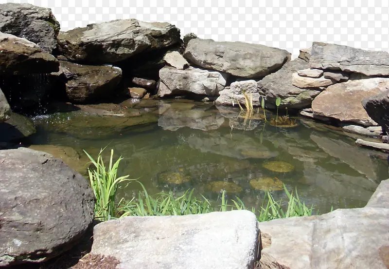 实景池塘石头绿水