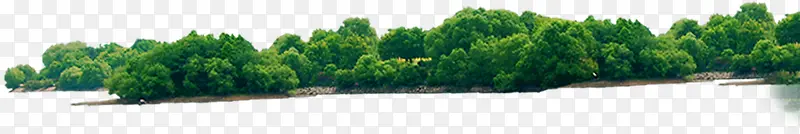 绿色高清湖边植物