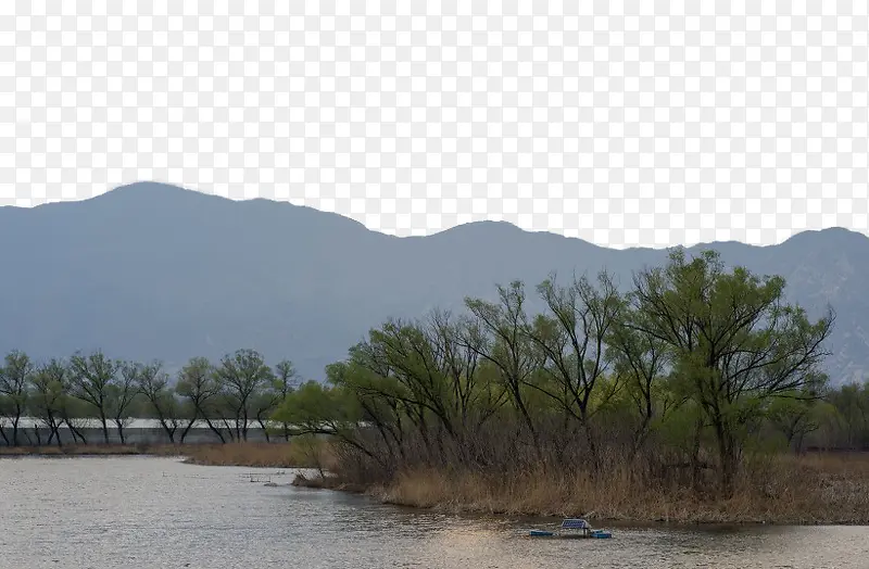 北京稻香湖春天风景