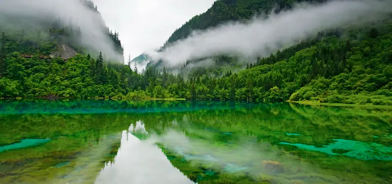 绿色自然风光背景