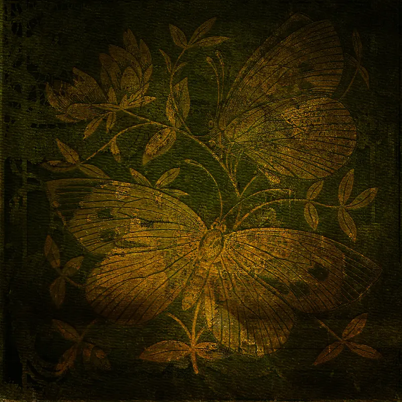 蝴蝶和植物花纹背景