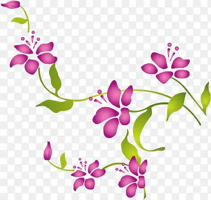 紫色花朵植物花纹