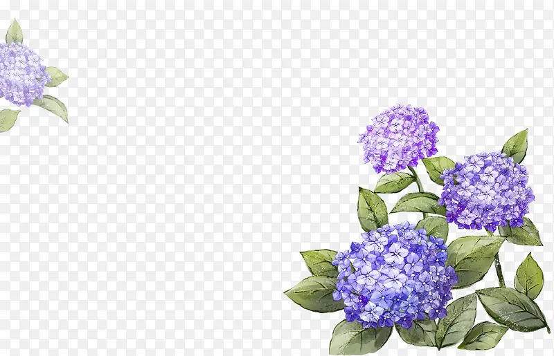紫色花朵装饰