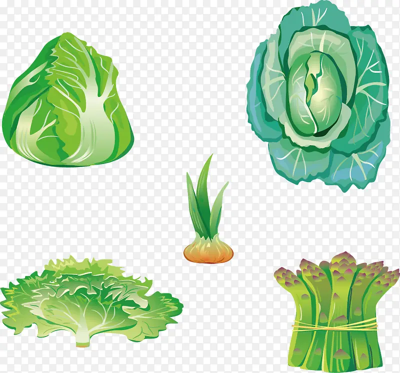 五种蔬菜