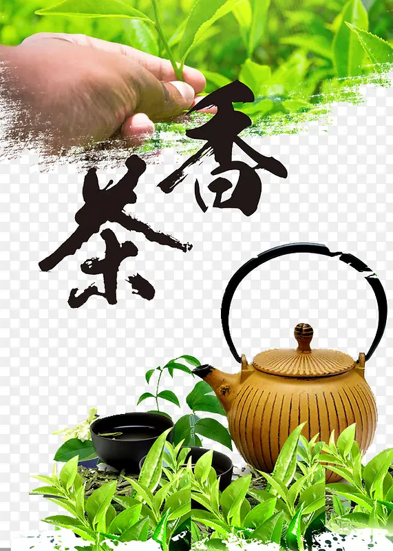 香茶新茶茶叶茶文化