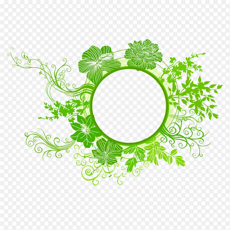 绿色圆圈蔓藤植物