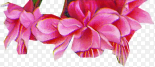 粉色花朵欧式花纹