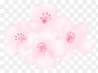 手绘粉色梦幻花纹花朵装饰