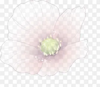 粉花朵