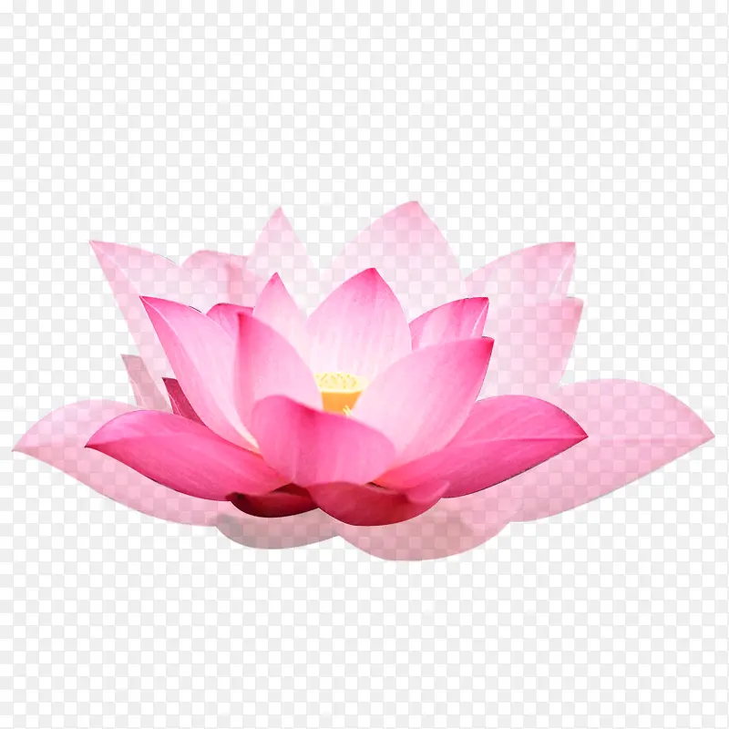 粉色现代海报装饰