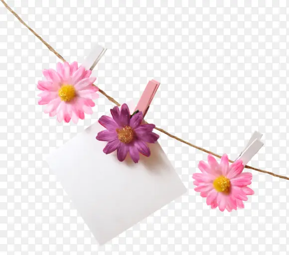 花朵便签夹子