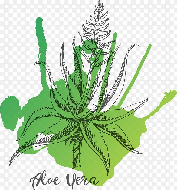 水彩手绘花草装饰