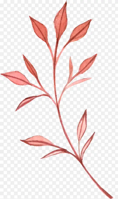 手绘红色植物
