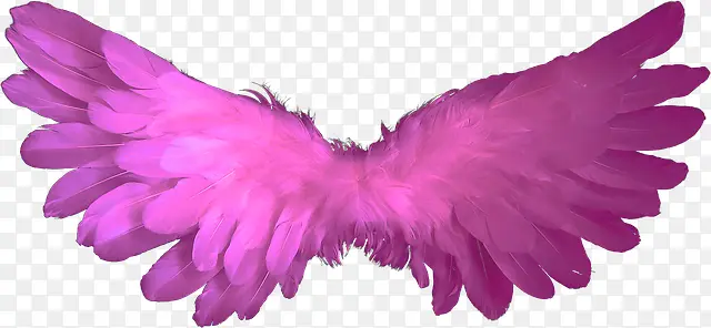 紫红色翅膀装饰图