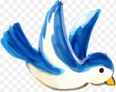 手绘蓝色水彩小鸟插图
