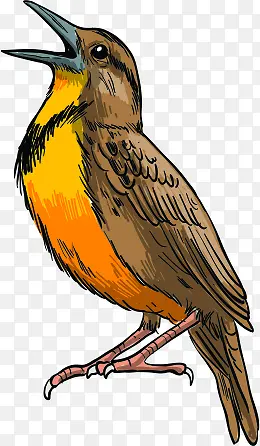 手绘黄棕色卡通小鸟