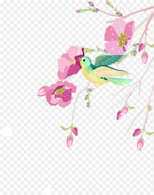 彩色手绘春天树枝小鸟