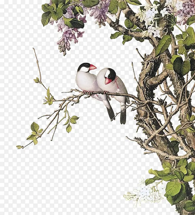 树枝上的小鸟手绘插画