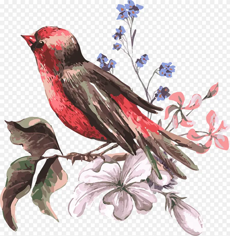 创意手绘水彩红色的小鸟