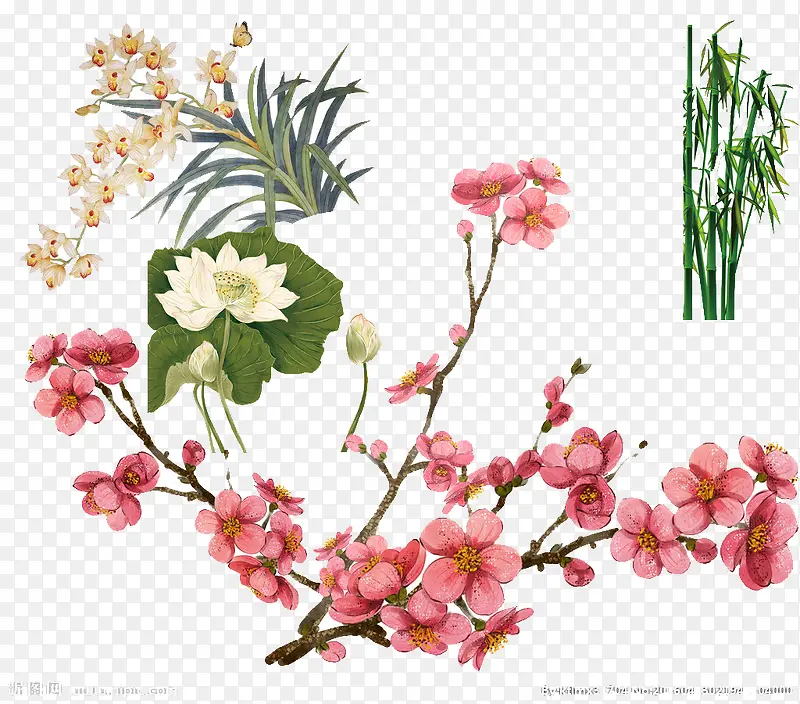 牡丹