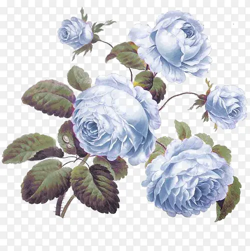 蓝色水彩花朵