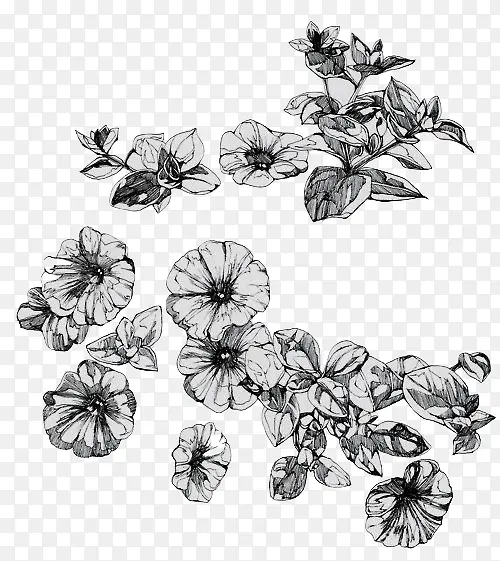 手绘黑色花朵绿叶