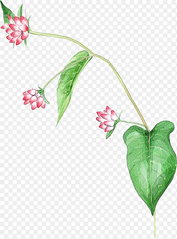 手绘粉色花朵绿叶植物装饰