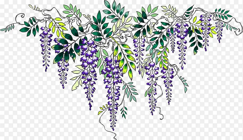 紫色花朵绿叶手绘