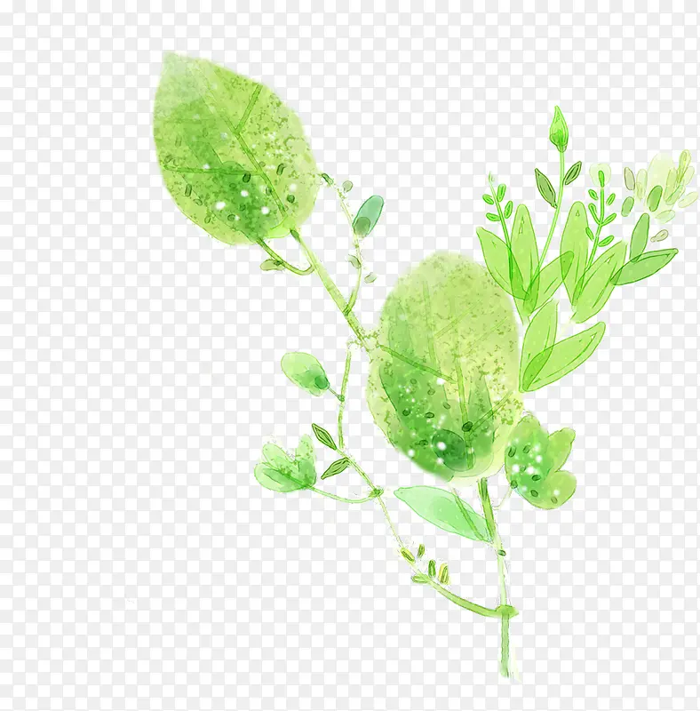 手绘绿叶意境画册