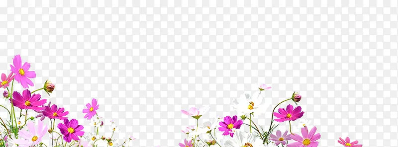 漂浮花朵
