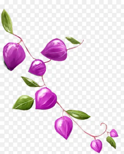 春天手绘紫色花苞