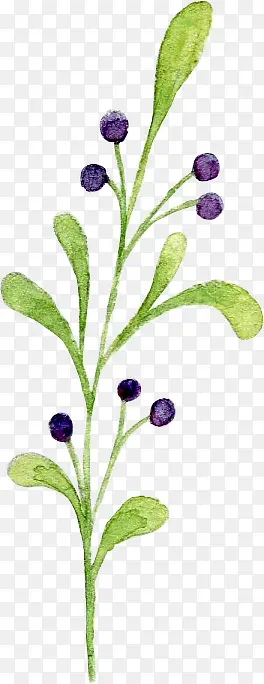 绿色手绘植物