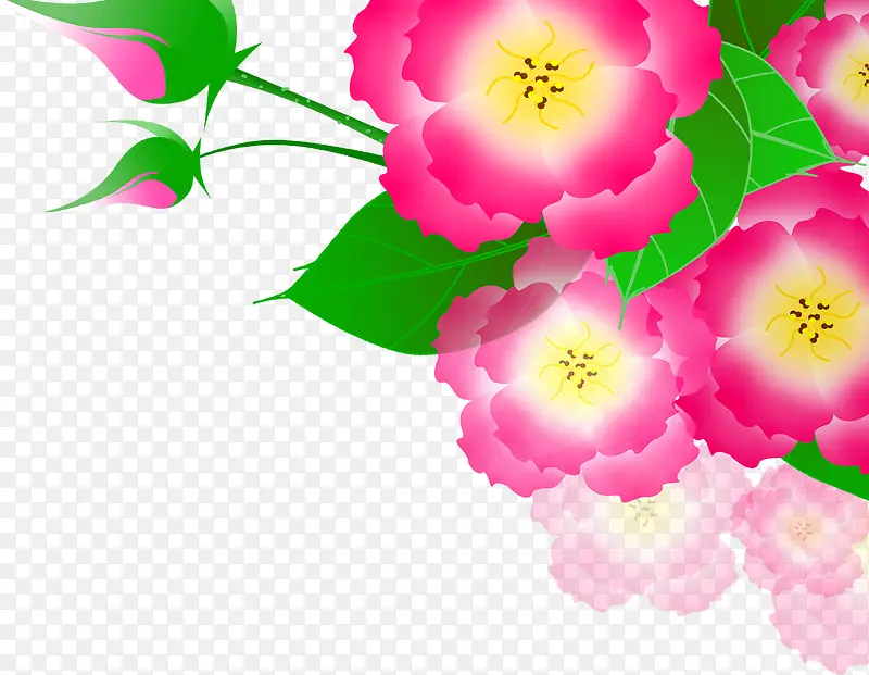 手绘粉色春季花朵花苞