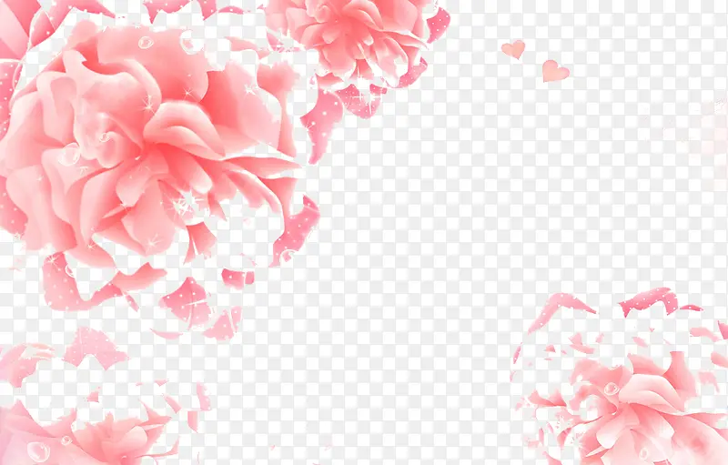 粉色牡丹花背景