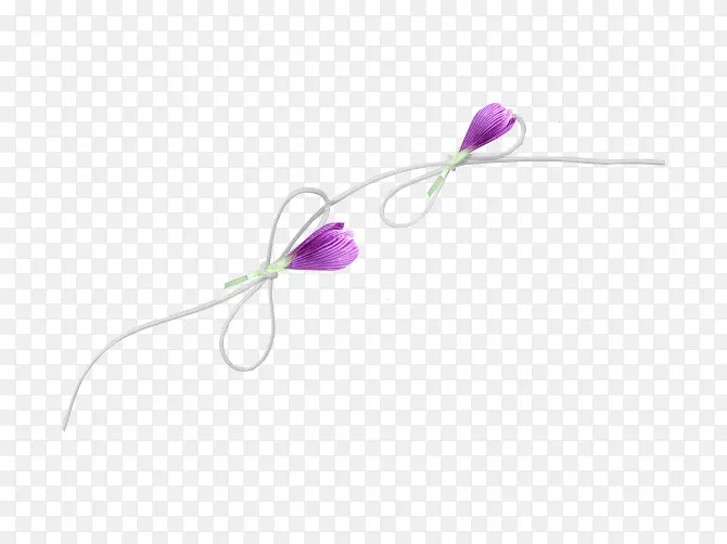 紫色小花苞