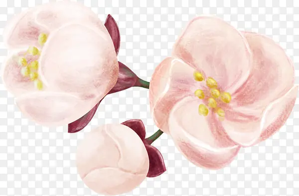 手绘艺术粉色花朵