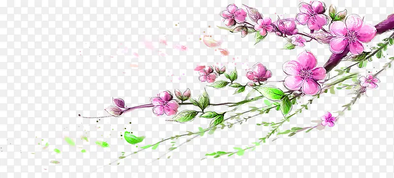 绿叶手绘粉色花朵
