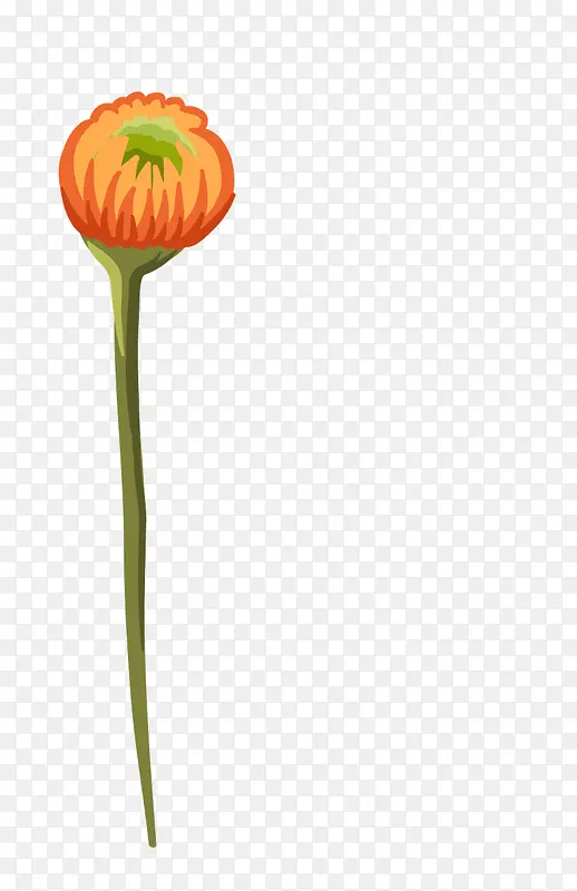 矢量手绘花苞