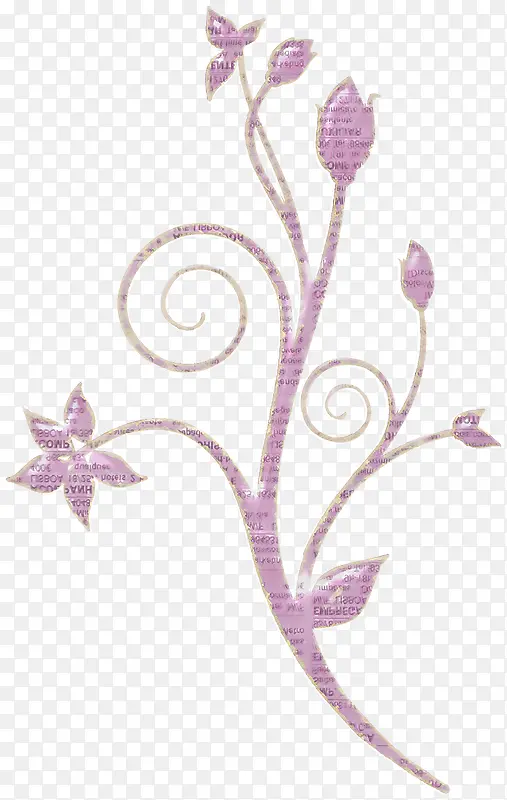 紫色花朵花苞