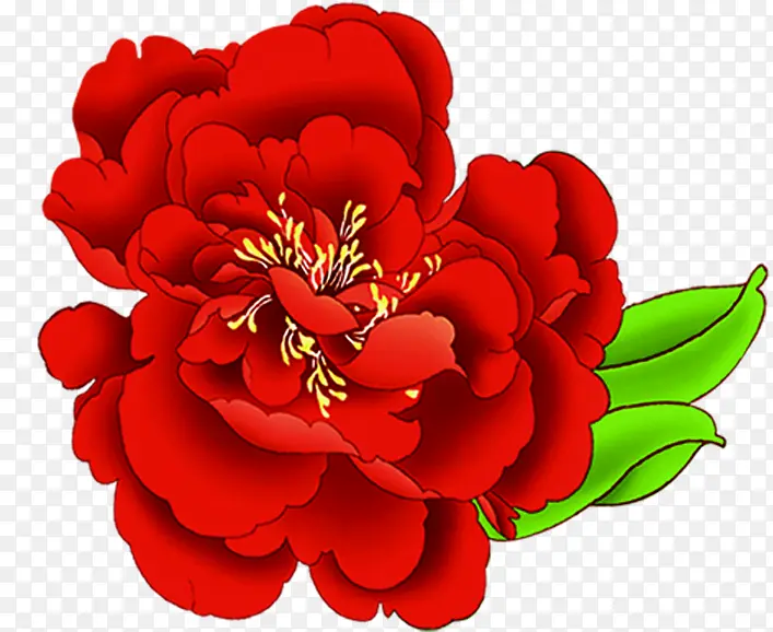 绿叶红色菊花手绘