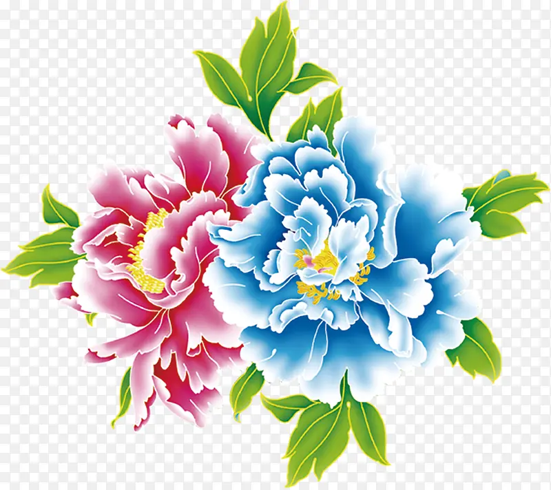 彩色手绘牡丹花朵