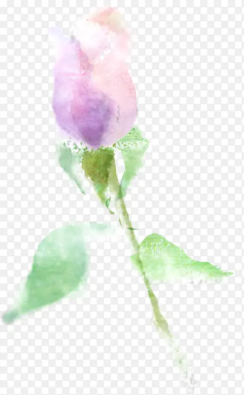 粉紫色手绘水彩花苞