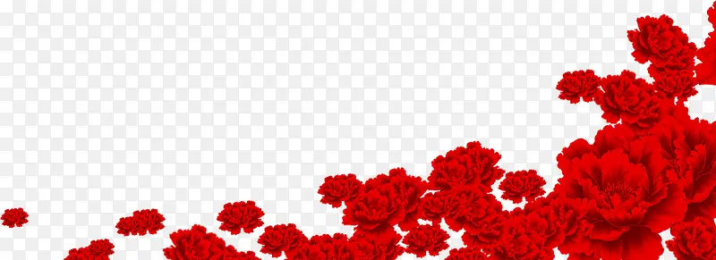 红色牡丹花图片