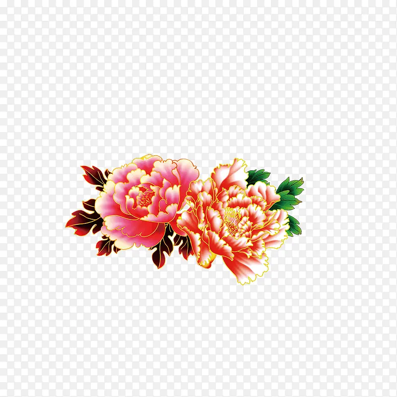 牡丹花