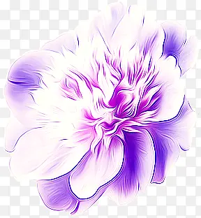 紫色水彩牡丹花