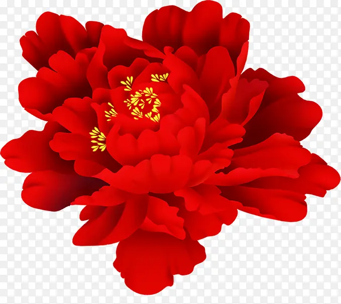 红色分层手绘牡丹花朵